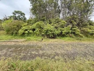 $50,000 | 18-1277 Lot 3 Oahu St Mountain View, Mountain View, HI 96771