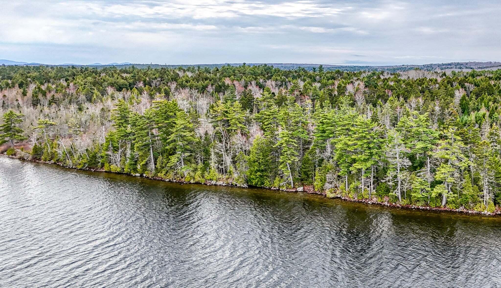 2 Wolf Cove Road Eastbrook, ME 04634 - Photo 7 of 12