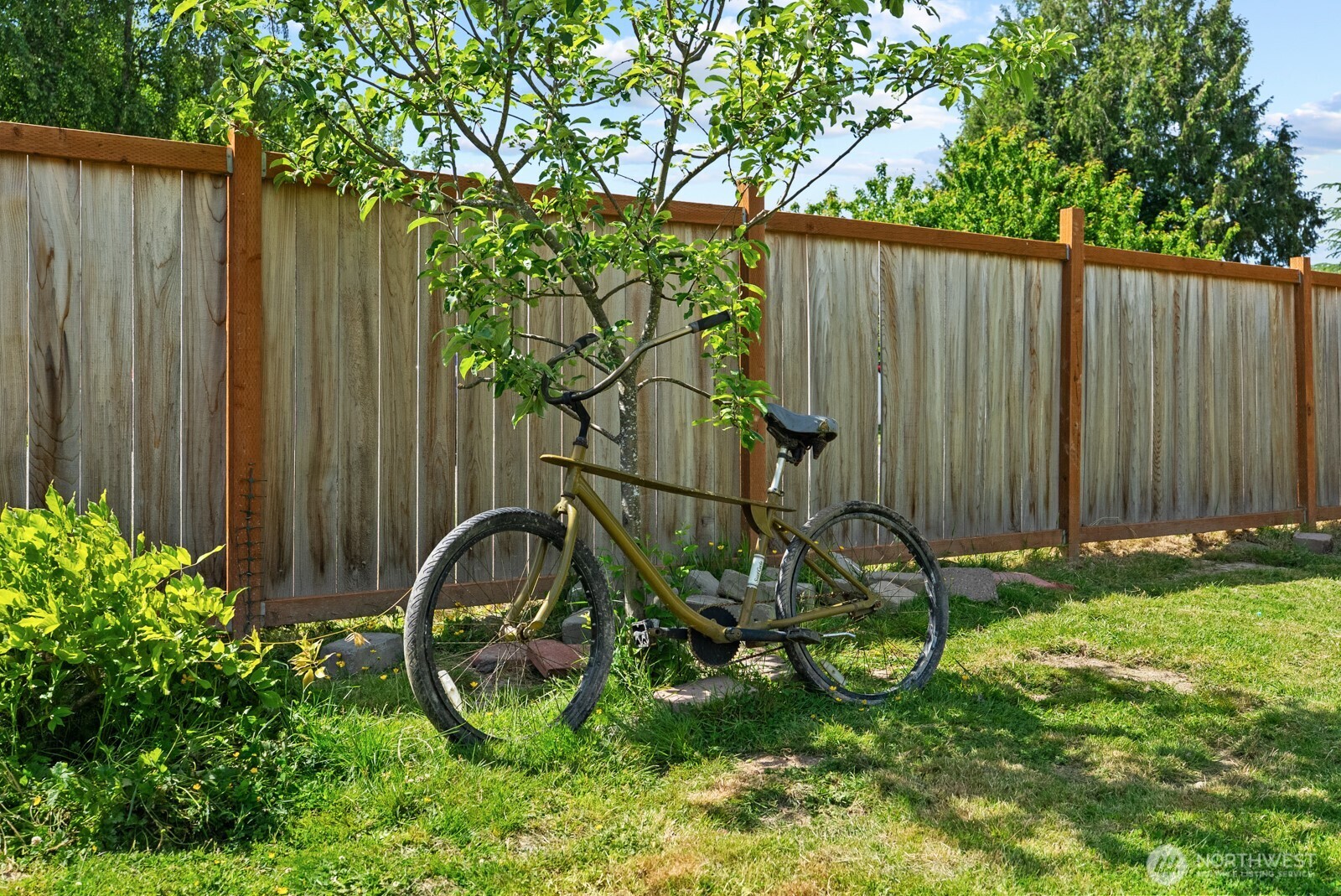 307 4th Street Steilacoom, WA 98388 - Photo 33 of 39 a backyard of a house with grass and plants