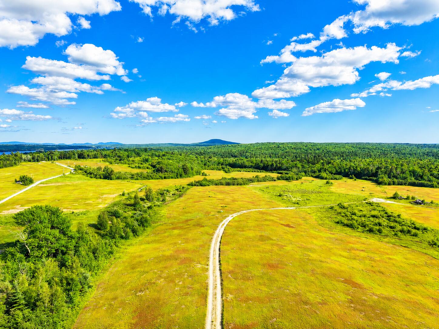 Map19-lot28 Leach Road Penobscot, ME 04476 - Photo 4 of 16 MAP19LOT28 Leach Road