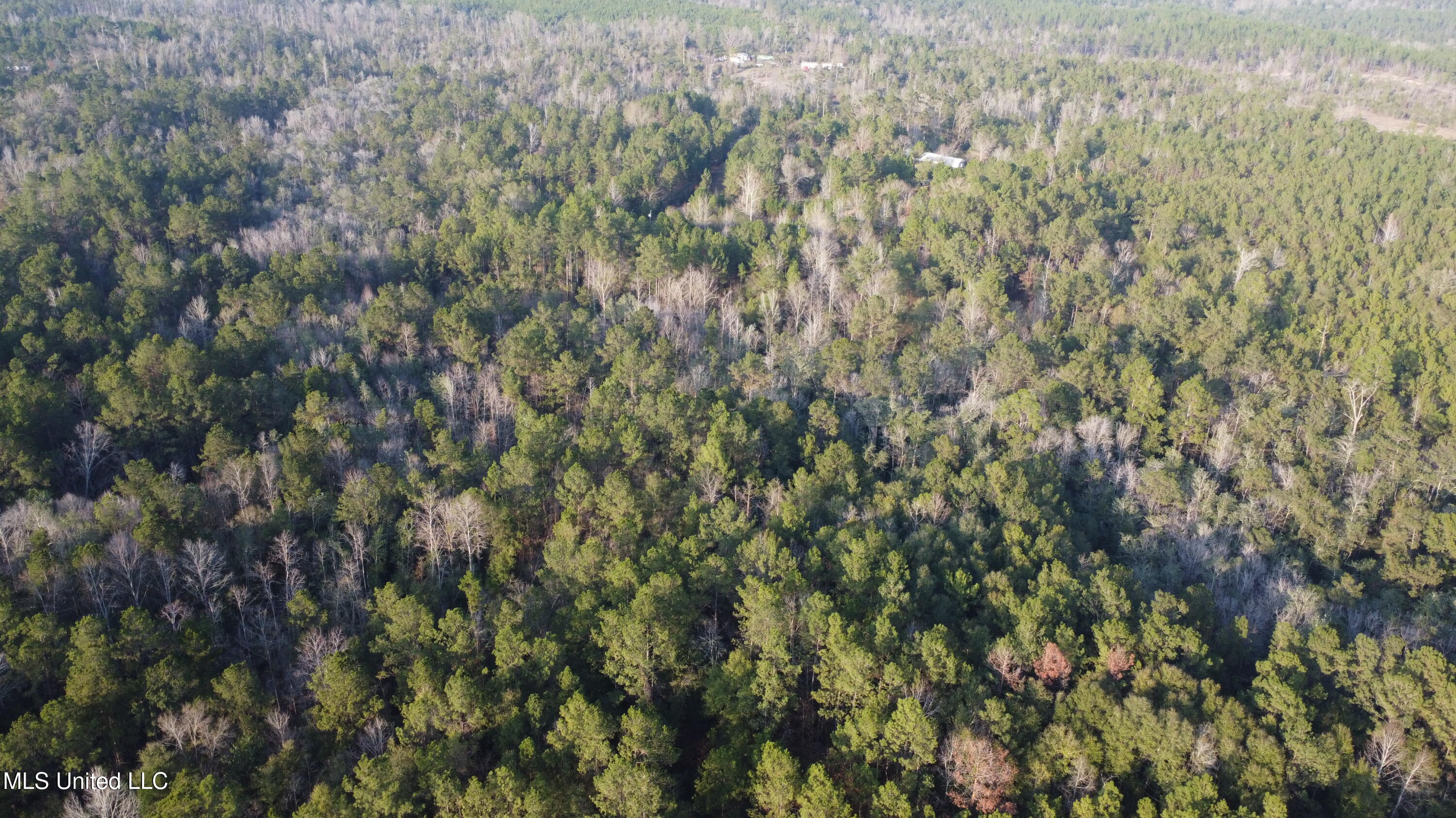 South County Line Road Columbia, MS 39429 - Photo 11 of 44 DJI_0693