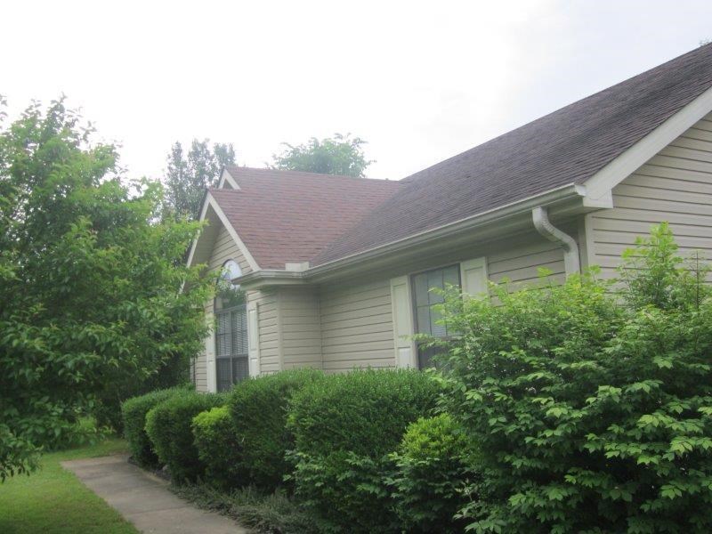 2263 Toulon Road Ripley, TN 38063 - Photo 4 of 4