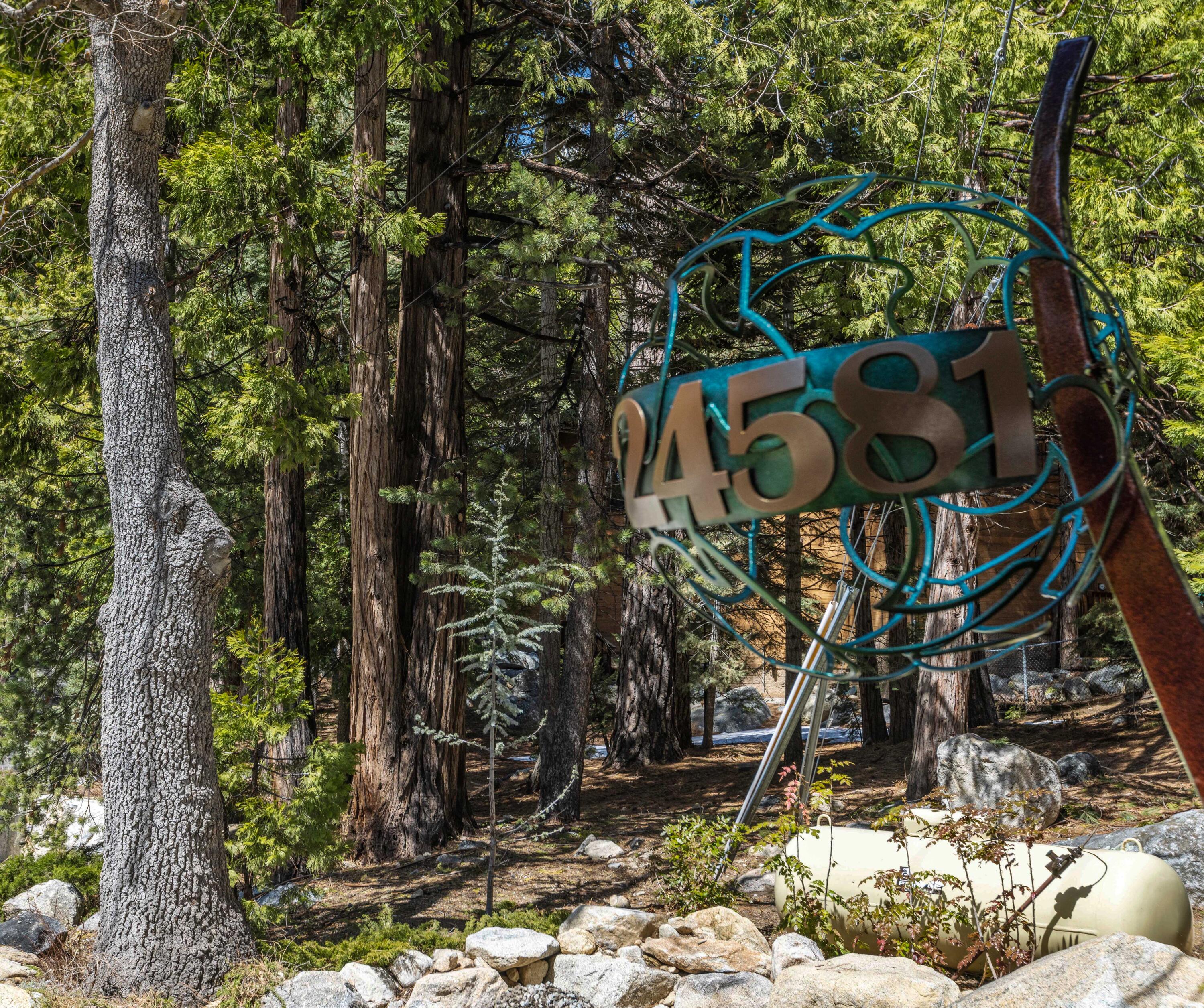 24581 Fern Valley Road Idyllwild, CA 92549 - Photo 3 of 45 a picture of a tree