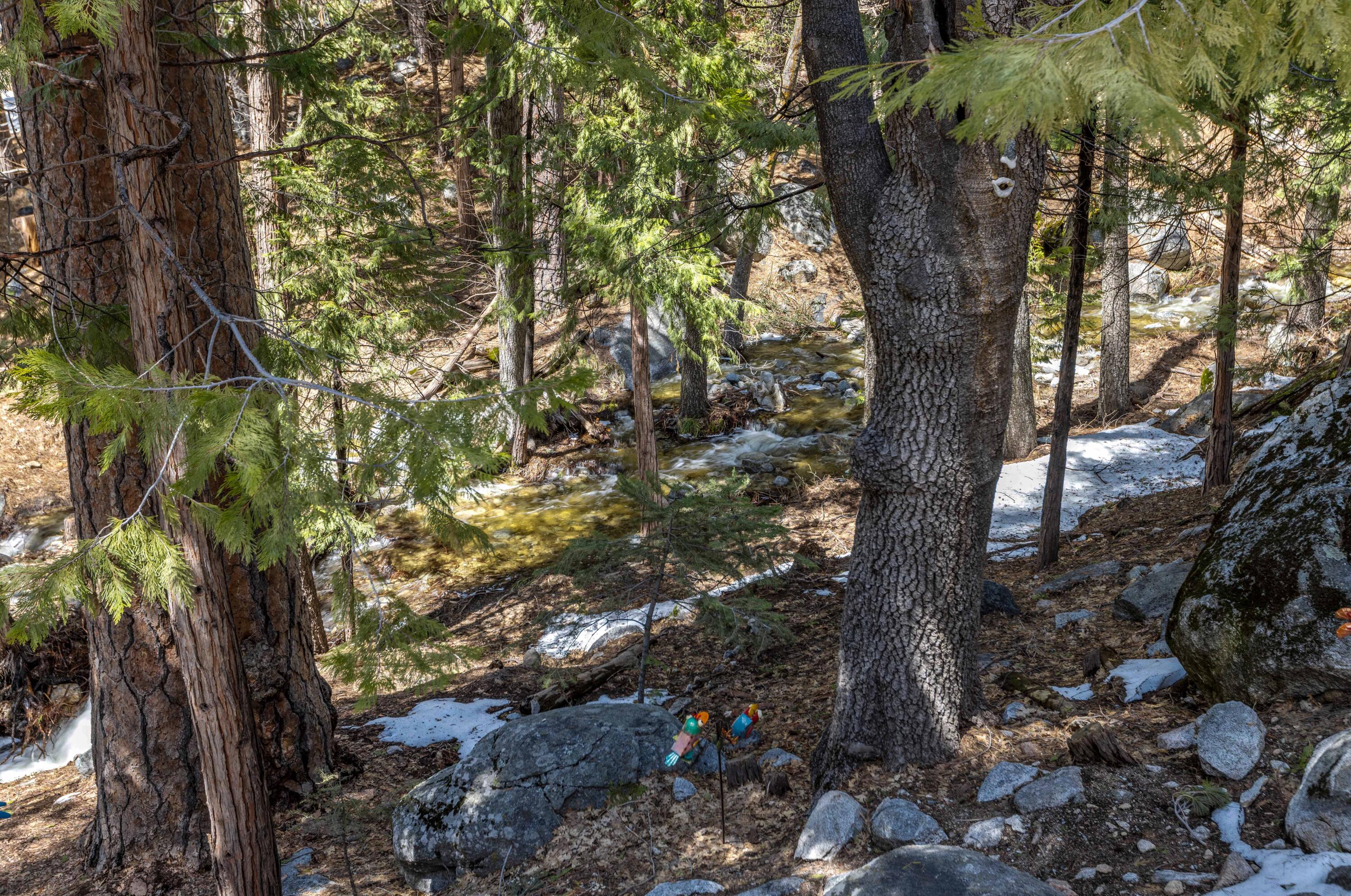 24581 Fern Valley Road Idyllwild, CA 92549 - Photo 42 of 45 a picture of tree