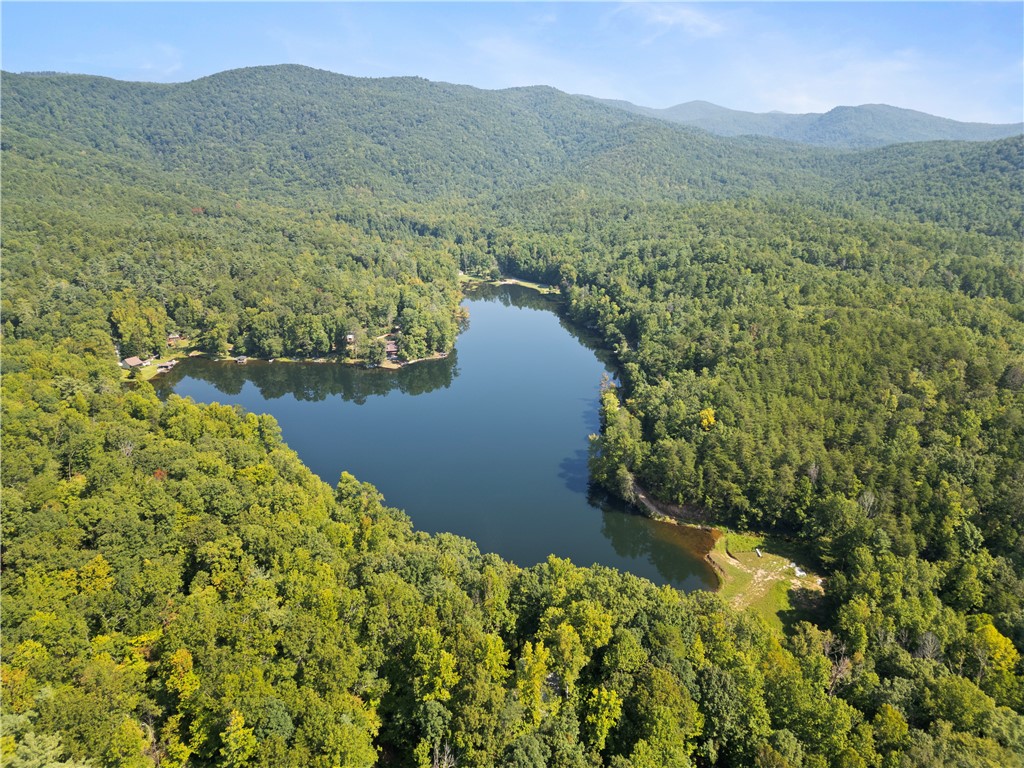 335 Lake Cheohee Road Tamassee, SC 29686 - Photo 18 of 30 Gallery Image 18