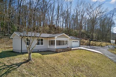 750 Sunnyside Road Hiawassee, GA 30546 - Photo 3 of 46 a front view of a house with a yard and large tree