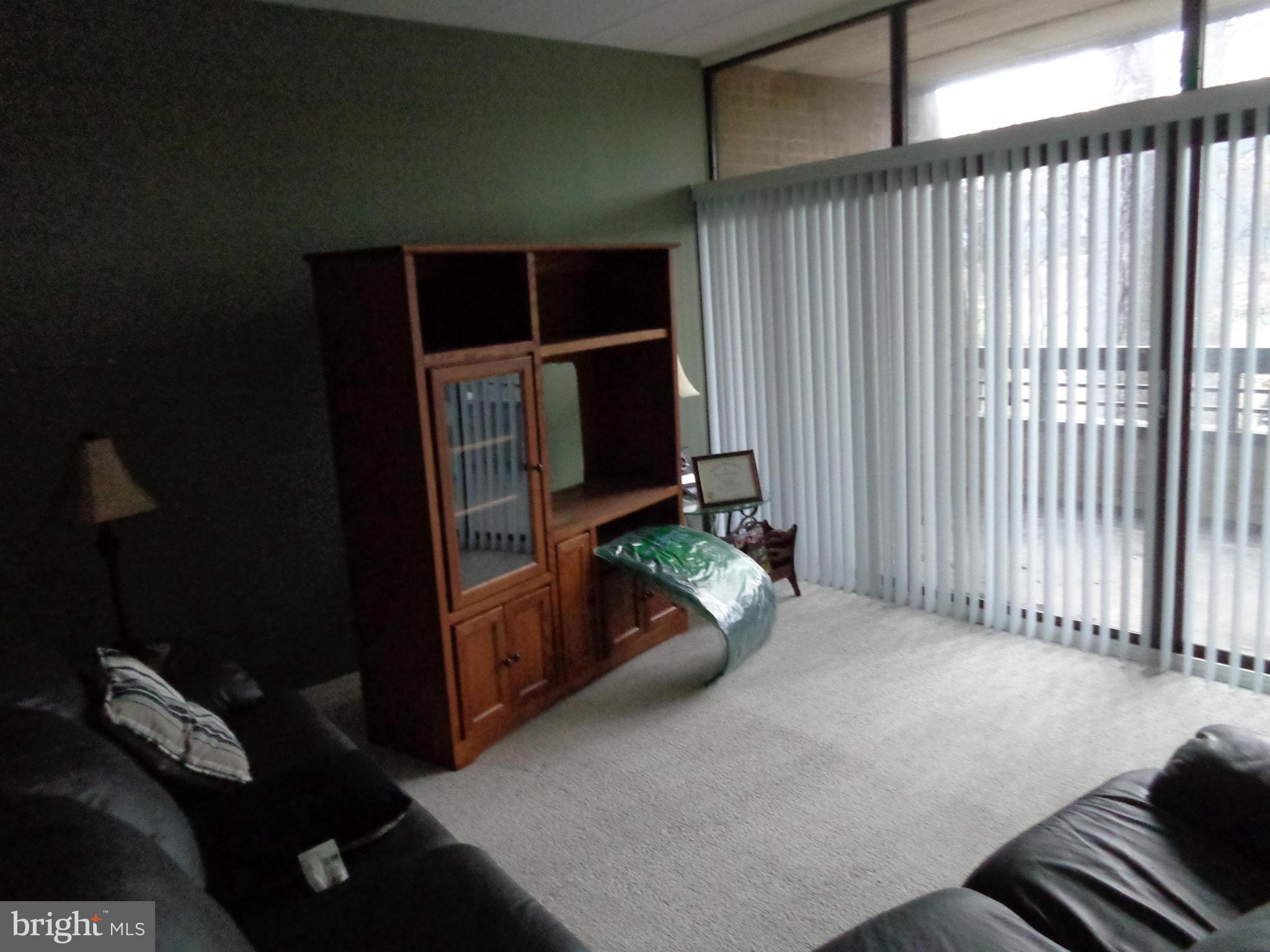 2114 Green Watch Way, Unit 201 Reston, VA 20191 - Photo 1 of 10 Living Room