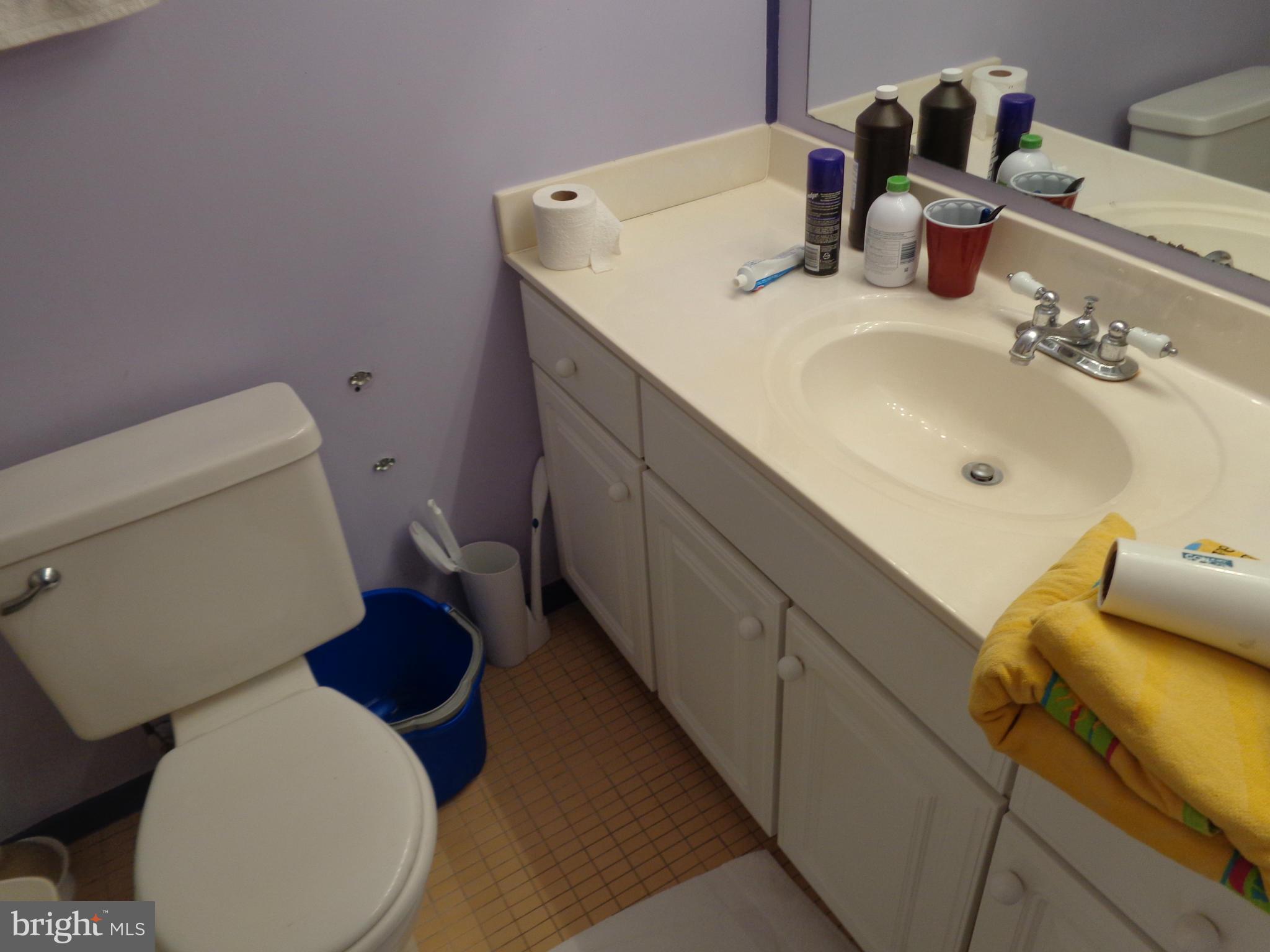 2114 Green Watch Way, Unit 201 Reston, VA 20191 - Photo 10 of 10 Bath