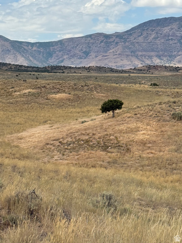 14 Old Dam Road, Unit 14 Levan, UT 84639 - Photo 8 of 10