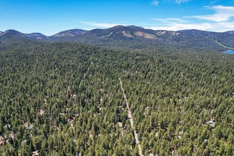 a view of a lush green hillside and a mountain