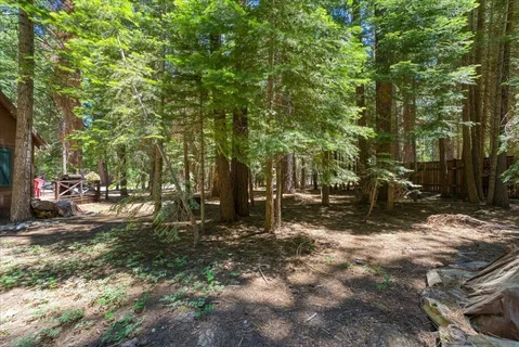 a view of outdoor space with trees
