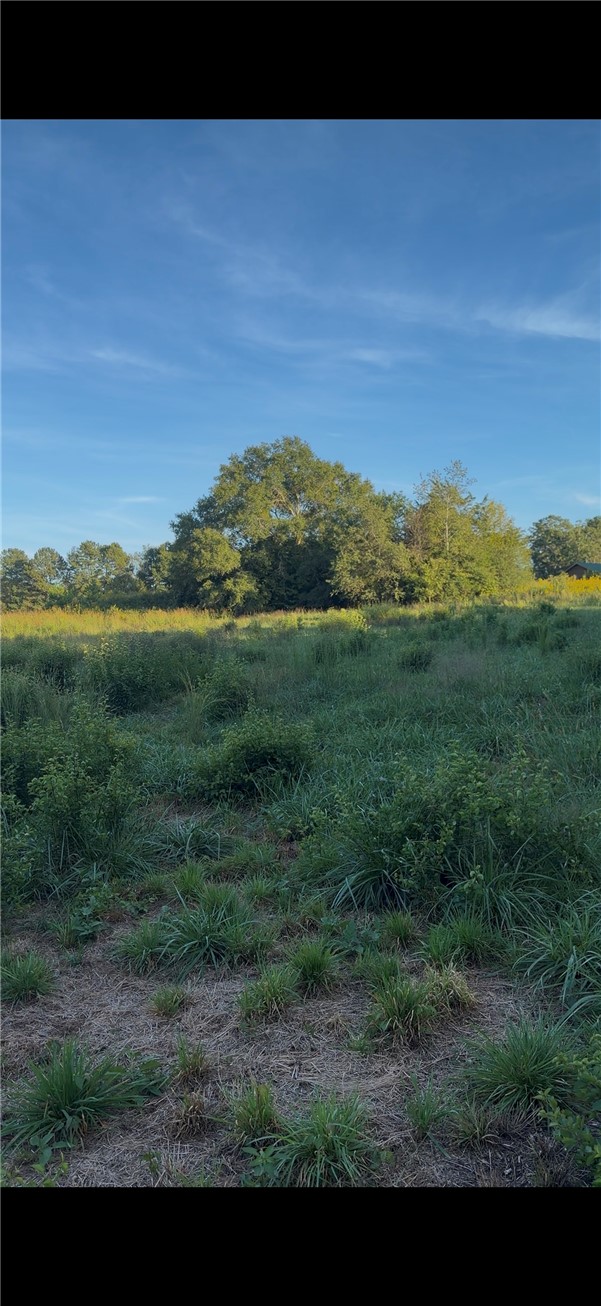 0 Richard Road Central, SC 29630 - Photo 3 of 5 Mature trees border a rolling green pasture under a clear blue sky.