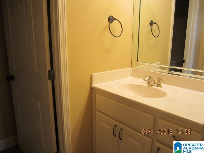 101 Ronny Lane Springville, AL 35146 - Photo 24 of 29