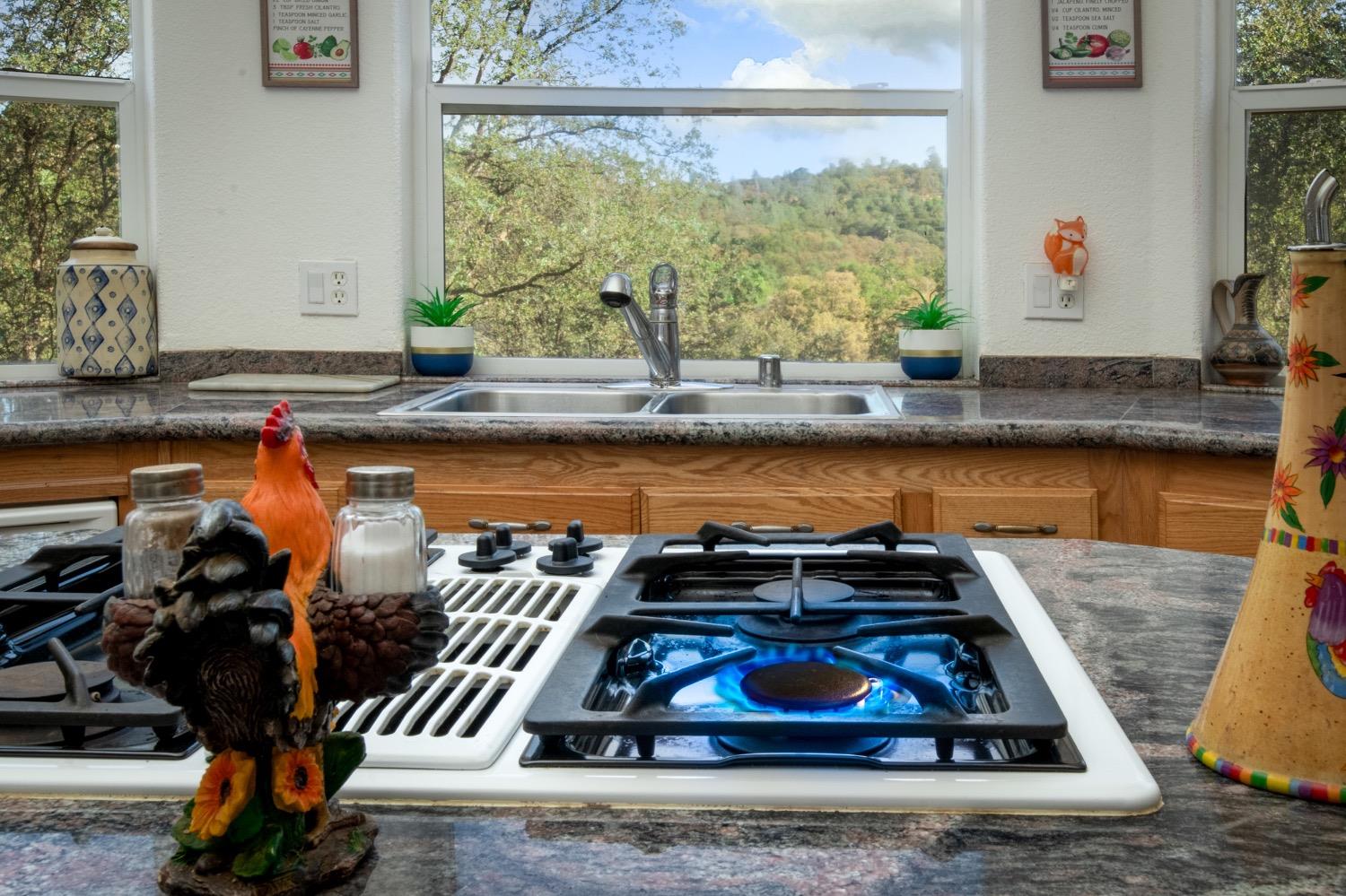 24090 Restive Way Grass Valley, CA 95949 - Photo 23 of 75