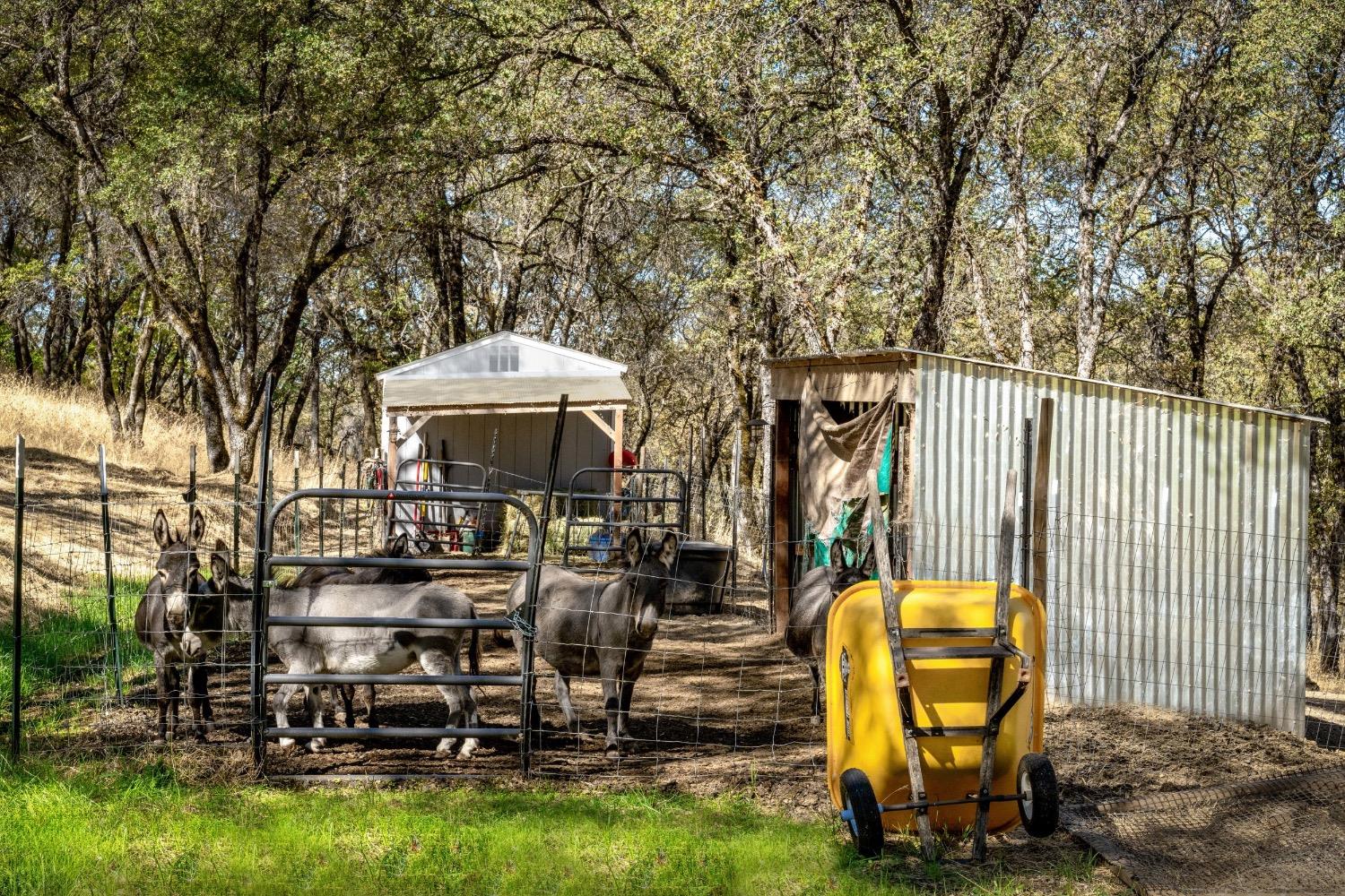 24090 Restive Way Grass Valley, CA 95949 - Photo 73 of 75