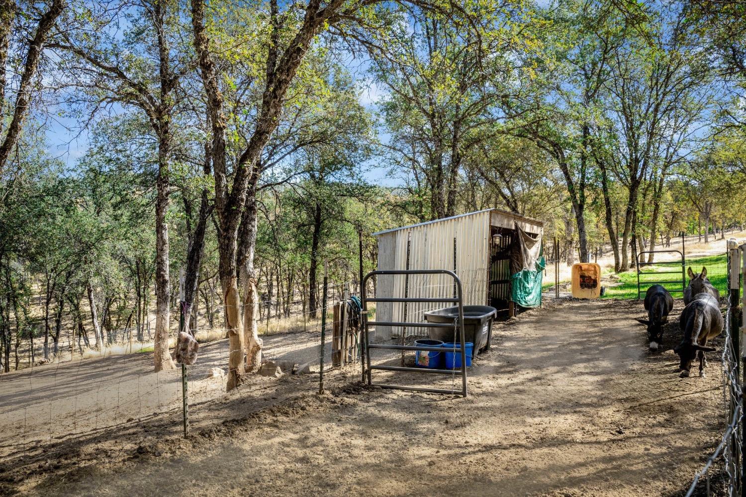 24090 Restive Way Grass Valley, CA 95949 - Photo 74 of 75 a view of a park with iron fence