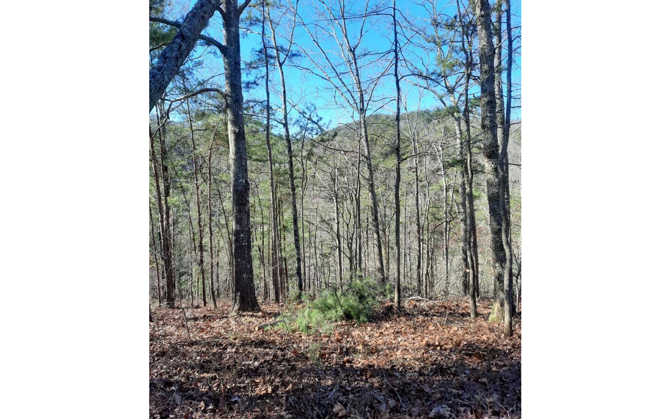 1404 Foxhound Trail Northeast Ranger, GA 30734 - Photo 1 of 6 Main View