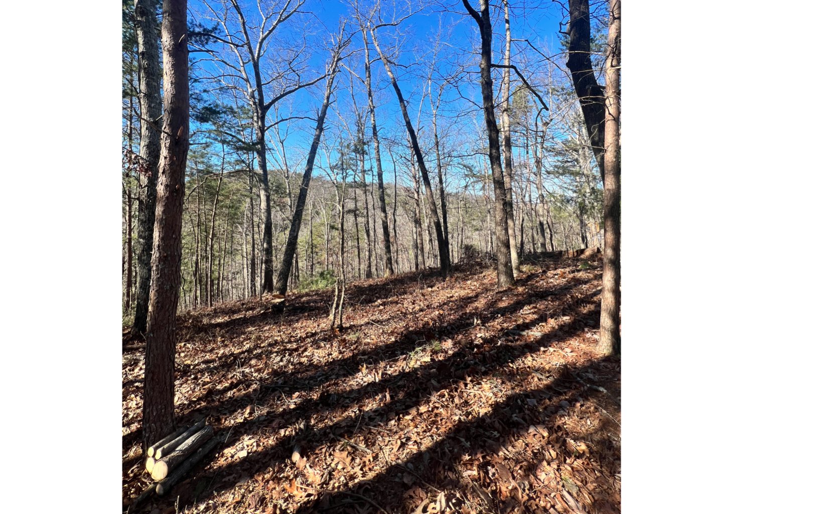 1404 Foxhound Trail Northeast Ranger, GA 30734 - Photo 2 of 6 Additional View