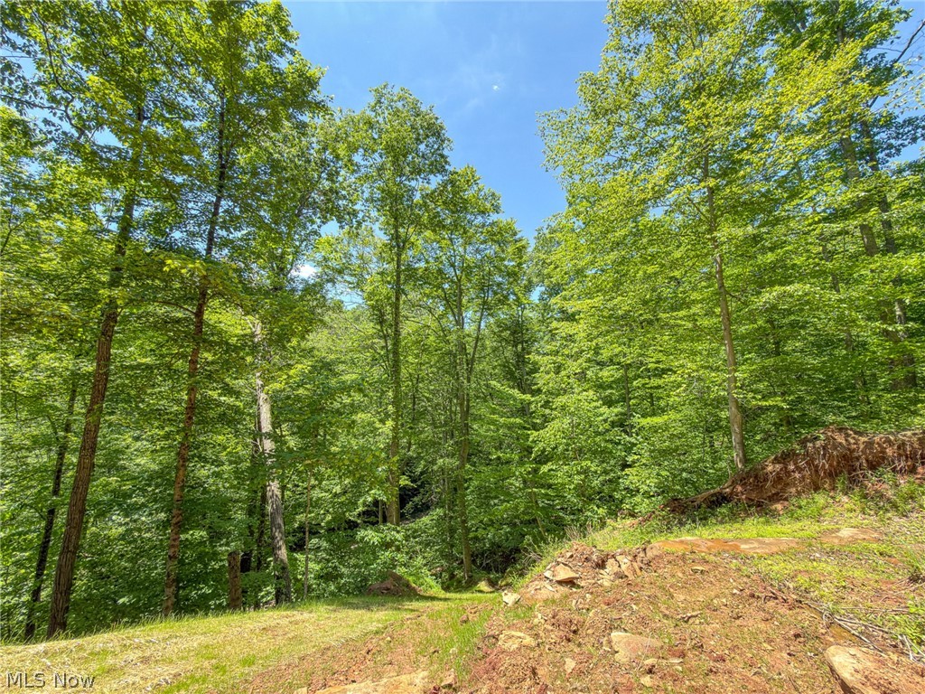 0 Twp Road Marietta, OH 45750 - Photo 15 of 50