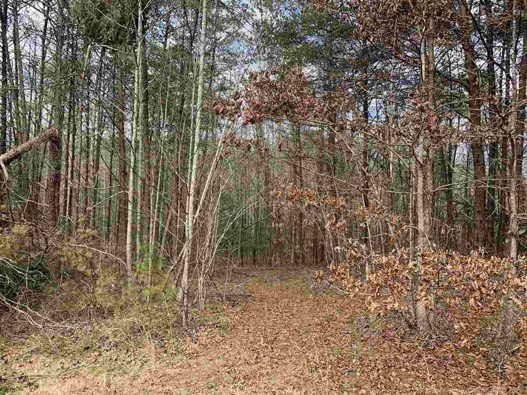 Lot 10 Stone Way Lane Rutherfordton, NC 28139 - Photo 1 of 1 a view of backyard with green space