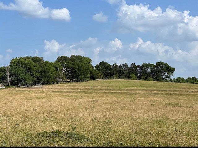 0 Fm 149 Street Anderson, TX 77830 - Photo 3 of 8