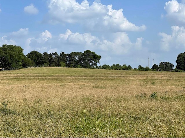 0 Fm 149 Street Anderson, TX 77830 - Photo 4 of 8