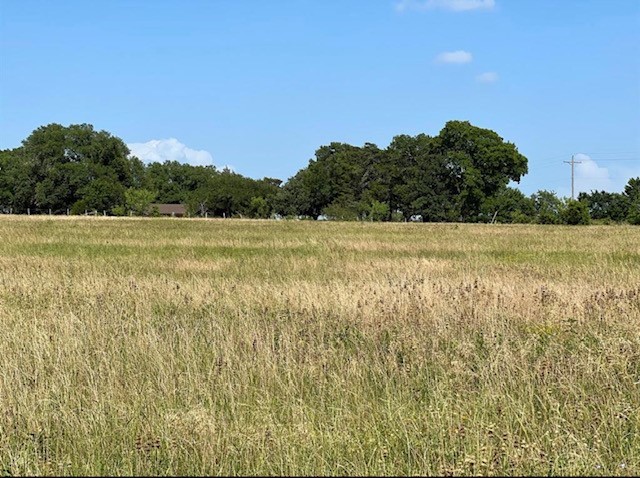 0 Fm 149 Street Anderson, TX 77830 - Photo 6 of 8