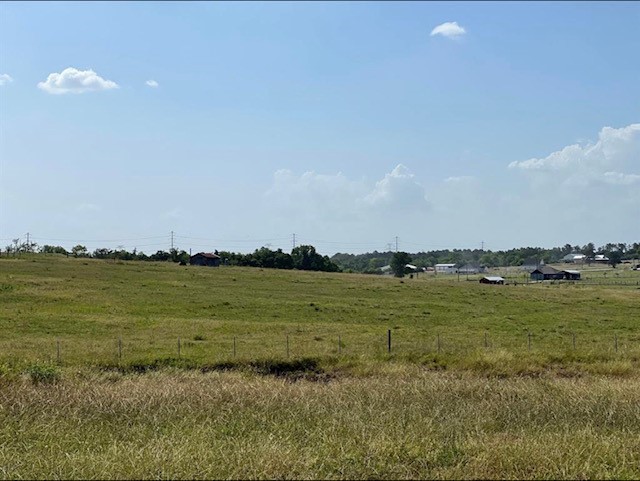 0 Fm 149 Street Anderson, TX 77830 - Photo 7 of 8
