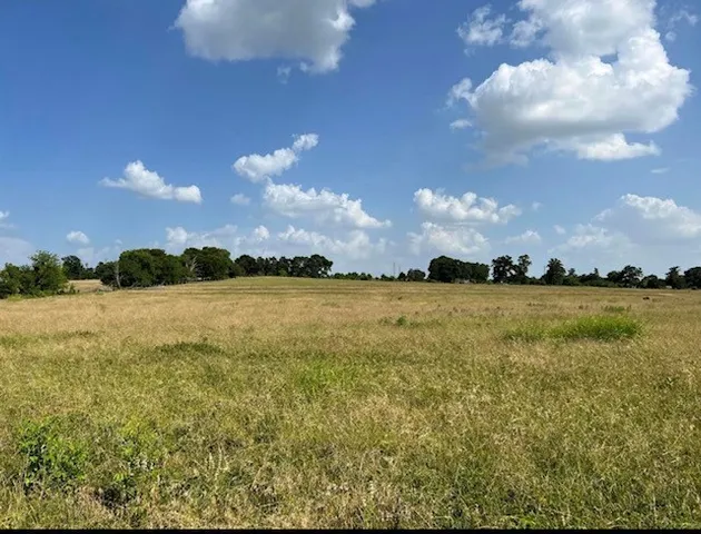 $250,000 | 0 Fm 149 Street, Anderson, TX 77830