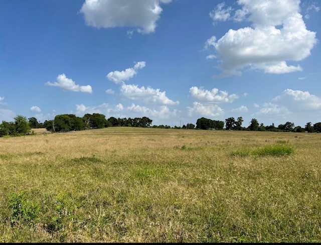0 Fm 149 Street Anderson, TX 77830 - Photo 8 of 8