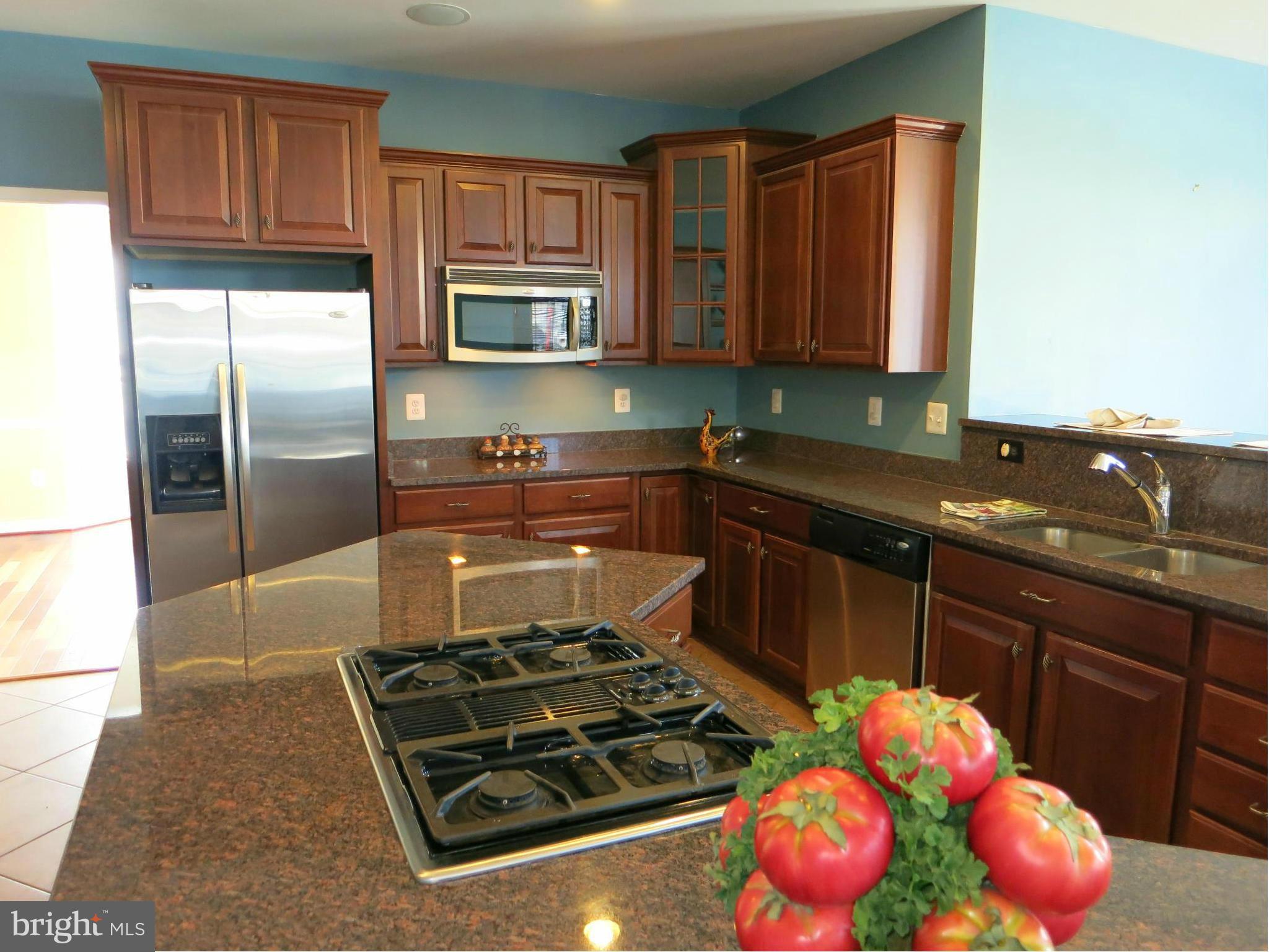 1700 Fletchers Drive Point of Rocks, MD 21777 - Photo 11 of 30 Kitchen