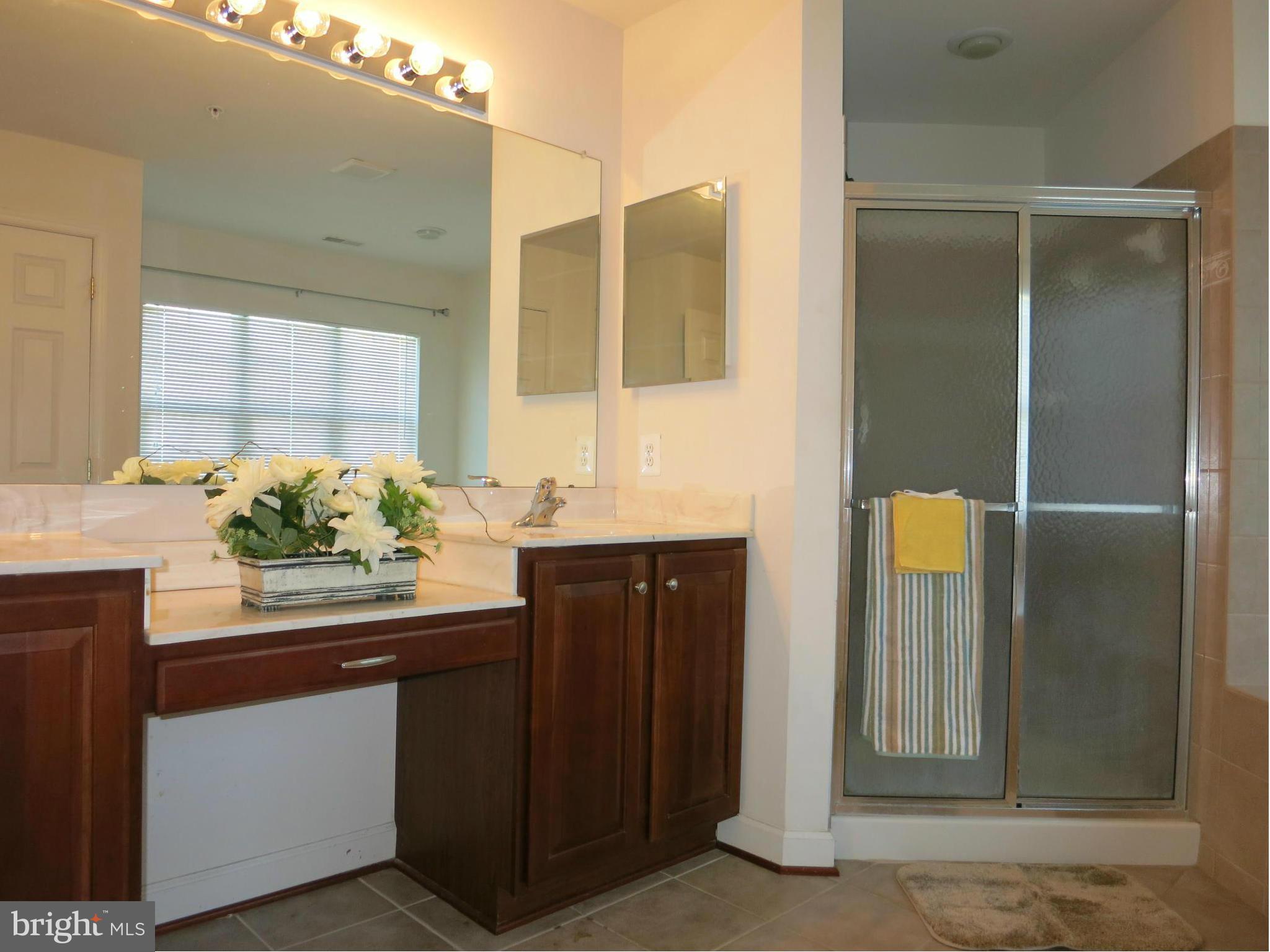 1700 Fletchers Drive Point of Rocks, MD 21777 - Photo 20 of 30 Bath (Master)