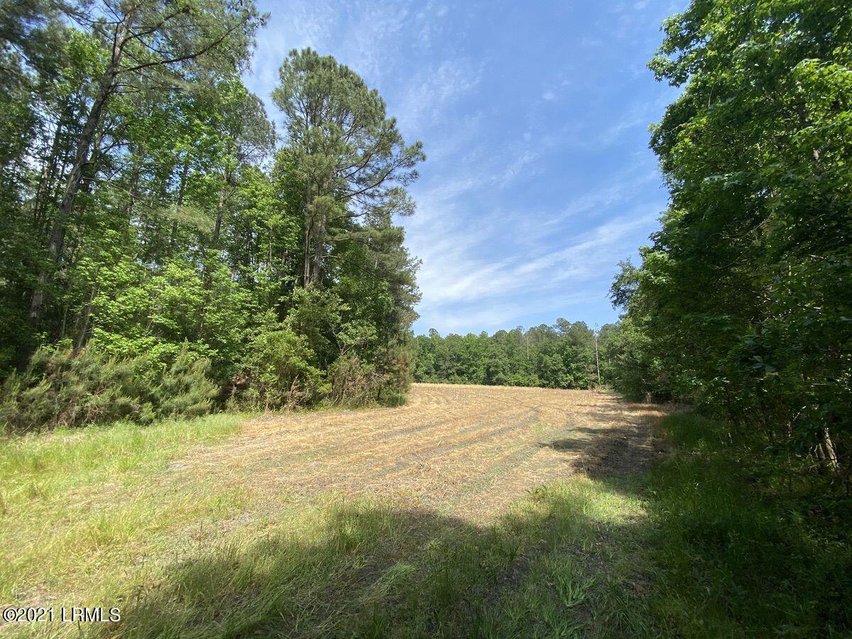 4131 Browning Gate Road Estill, SC 29918 - Photo 13 of 33 IMG_6208
