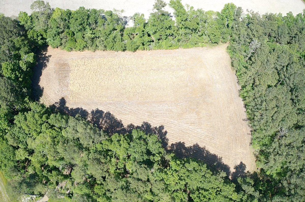 4131 Browning Gate Road Estill, SC 29918 - Photo 21 of 33 IMG_6232
