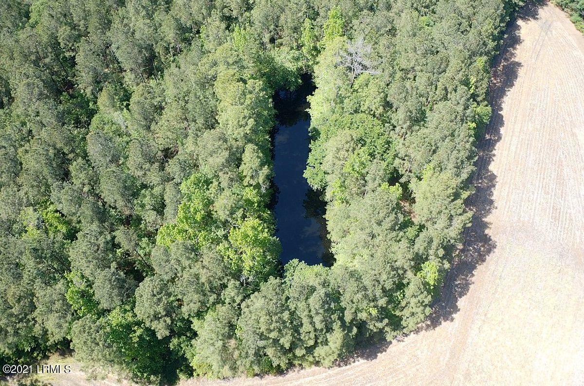 4131 Browning Gate Road Estill, SC 29918 - Photo 26 of 33 IMG_6249