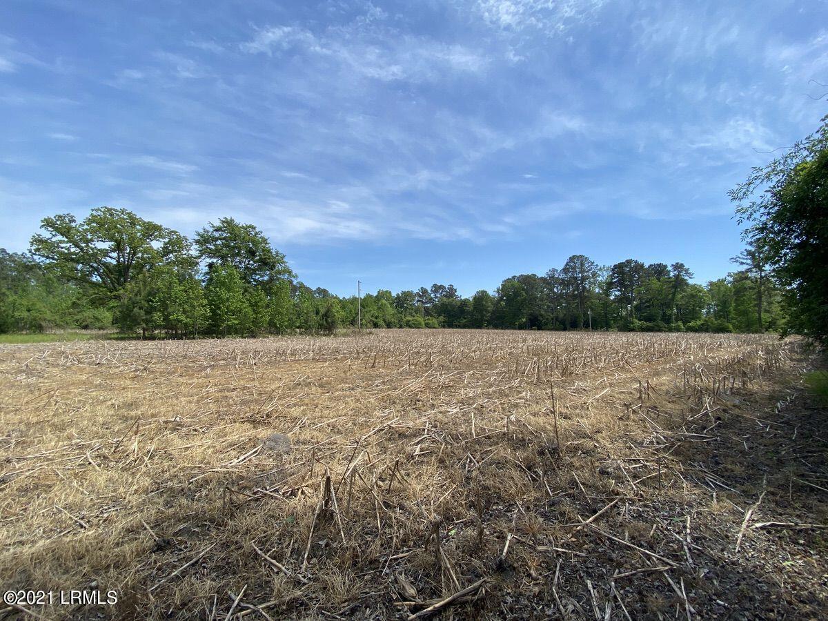 4131 Browning Gate Road Estill, SC 29918 - Photo 3 of 33 03