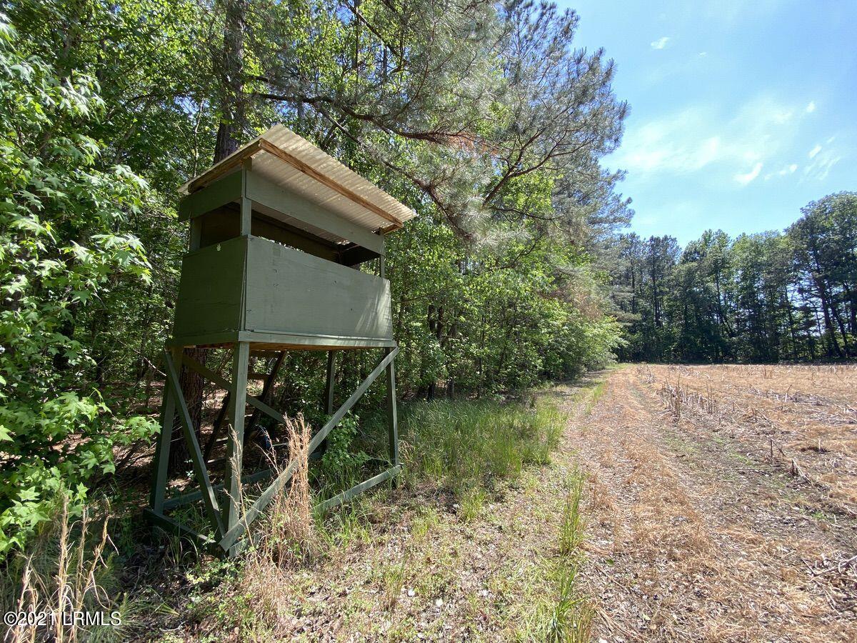 4131 Browning Gate Road Estill, SC 29918 - Photo 6 of 33 06
