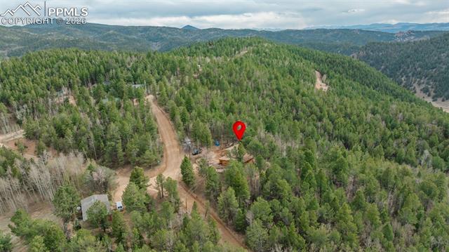 847 Timber Ridge Road Divide, CO 80814 - Photo 32 of 41 Expansive wooded landscape featuring mature evergreen and deciduous trees, with a winding unpaved road