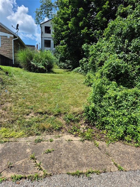 19 Charles Street Dravosburg, PA 15034 - Photo 18 of 18 a view of a yard in front of house