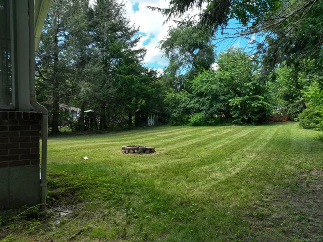 a view of a tree in a yard
