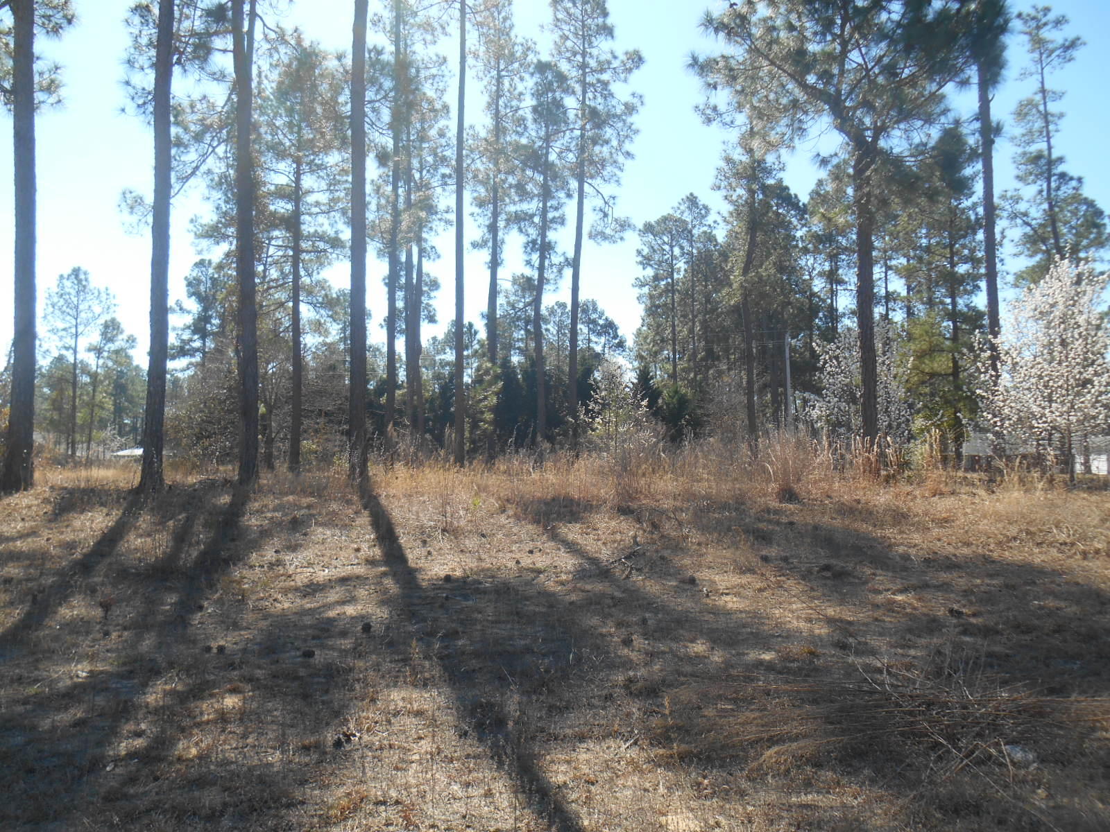 Tbd Kenric Point Rockingham, NC 28379 - Photo 1 of 3 Front View