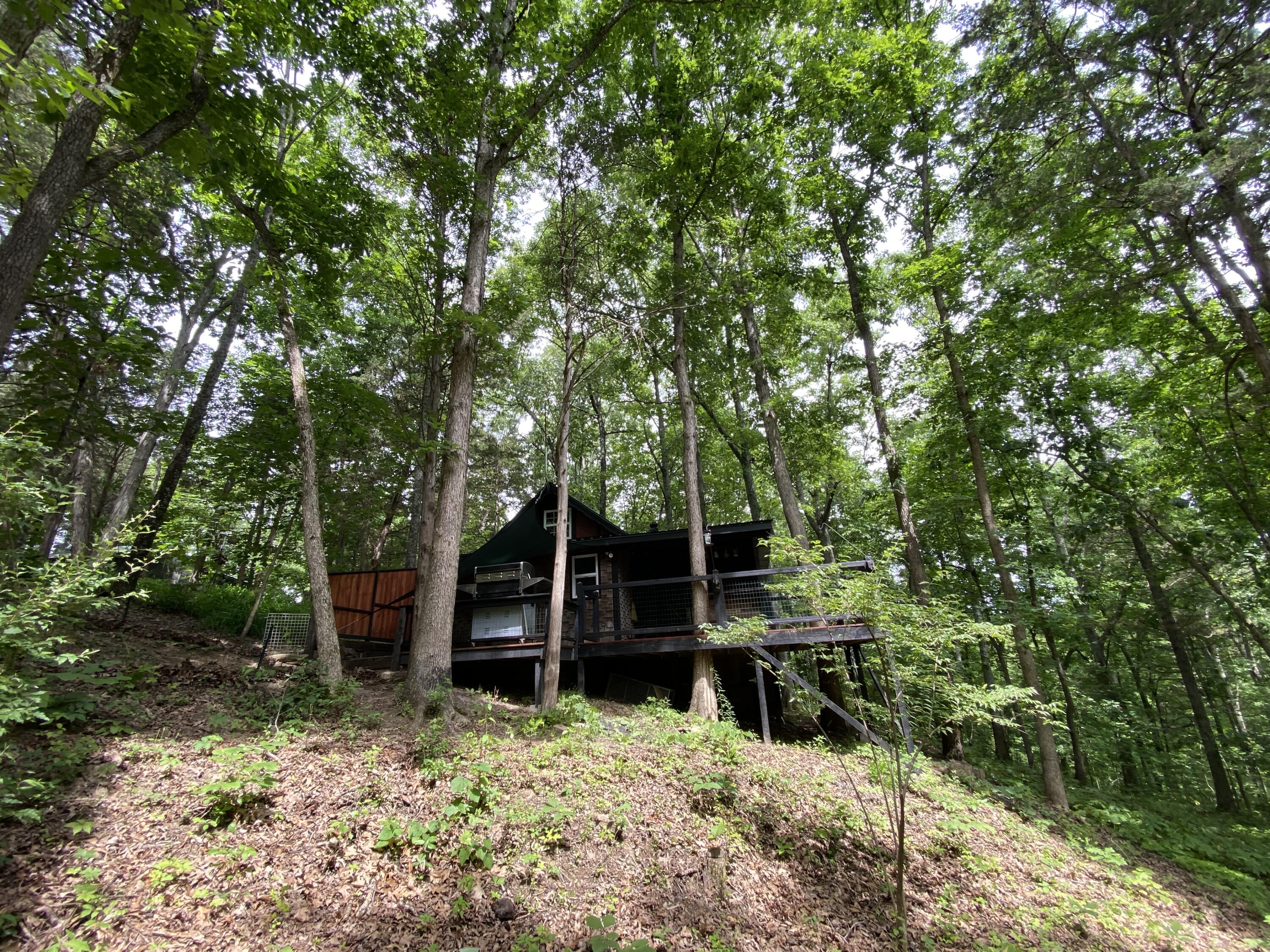 1030 Mudlick Road Lawrenceburg, KY 40342 - Photo 21 of 25 20