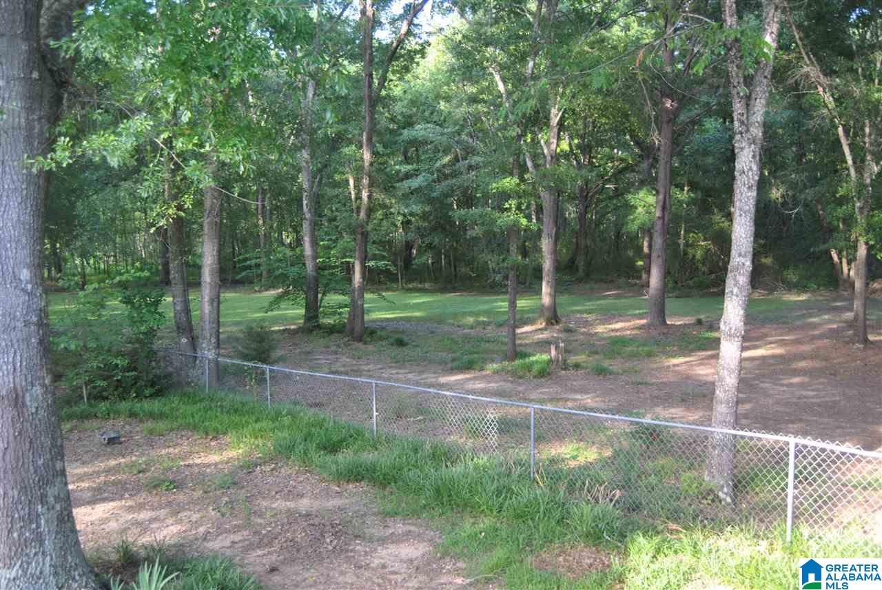 576 Pine Harbor Road Pell City, AL 35128 - Photo 22 of 28