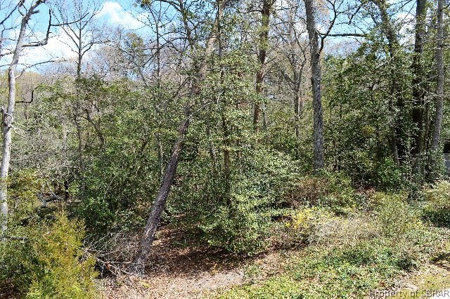 48 Galahad Court Reedville, VA 22539 - Photo 12 of 36