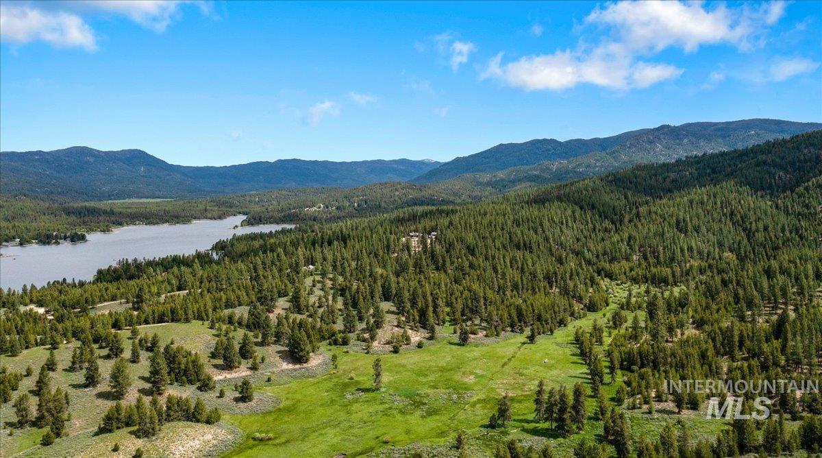 View of mountain backdrop with a forest and a large body of water