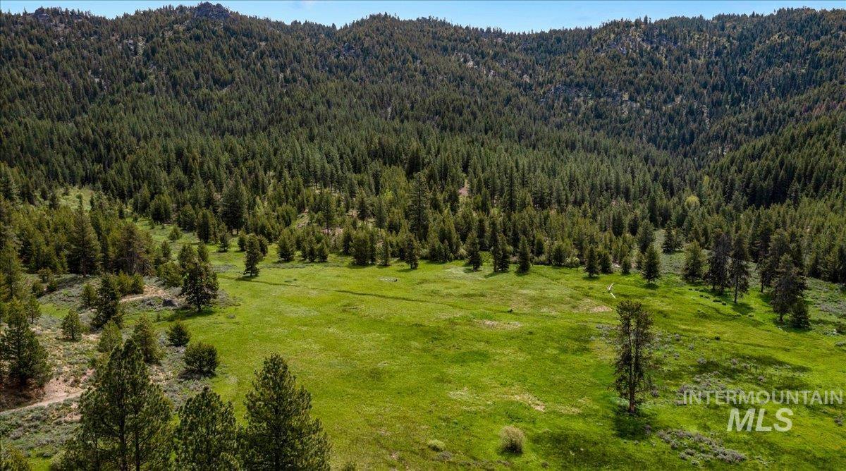 Tbd Pointes Road Cascade, ID 83611 - Photo 14 of 50 Aerial view of a forest and a mountain backdrop
