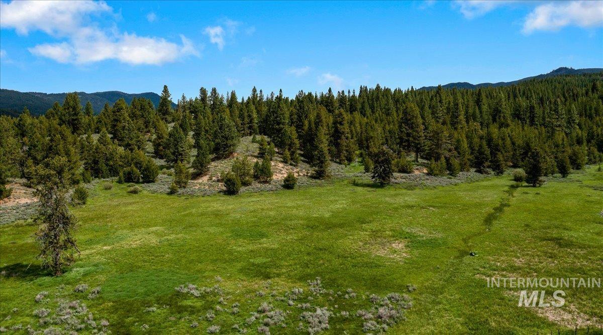 Tbd Pointes Road Cascade, ID 83611 - Photo 22 of 50 View of mountain background featuring a forest