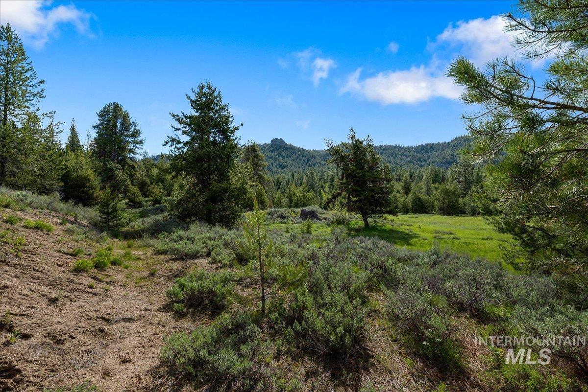 Tbd Pointes Road Cascade, ID 83611 - Photo 25 of 50 View of mountain background with a forest