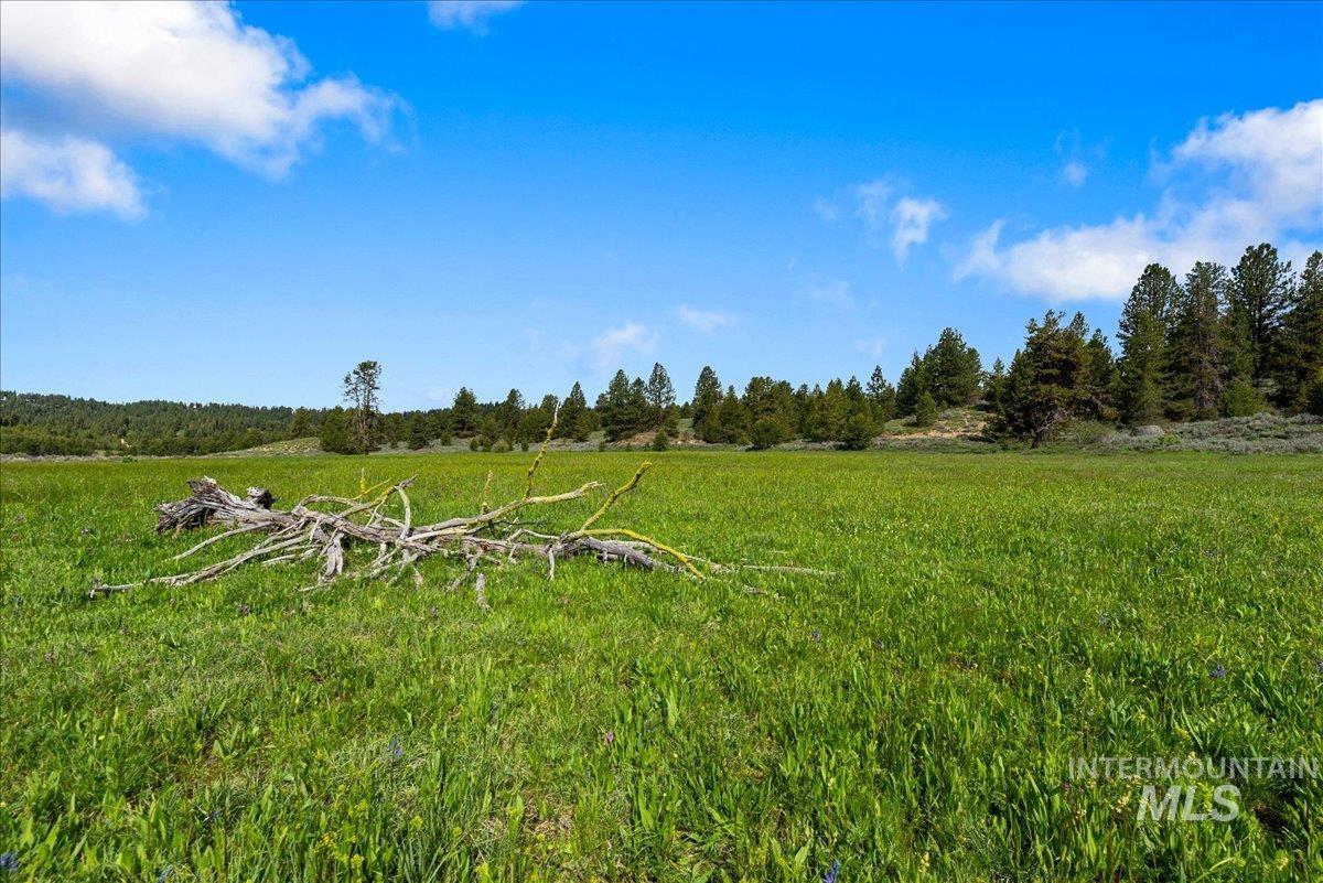 Tbd Pointes Road Cascade, ID 83611 - Photo 38 of 50 View of yard