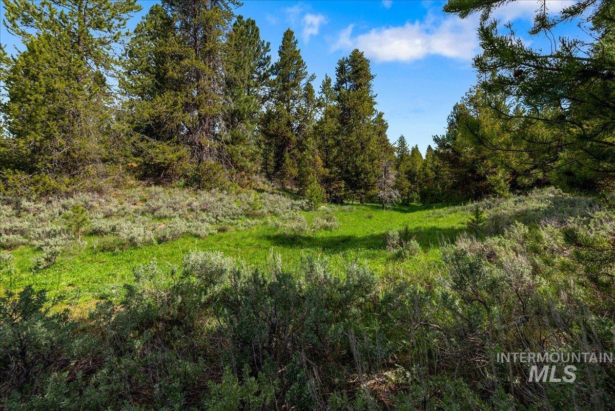 Tbd Pointes Road Cascade, ID 83611 - Photo 45 of 50 View of tree filled area